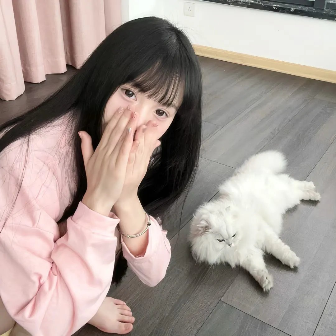 纸相机